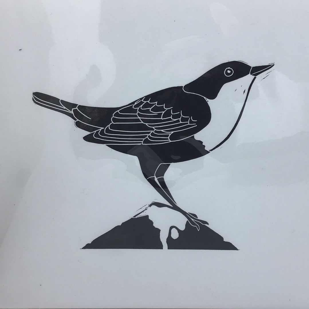 Dipper A4 Print