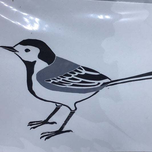Pied Wagtail Print A5