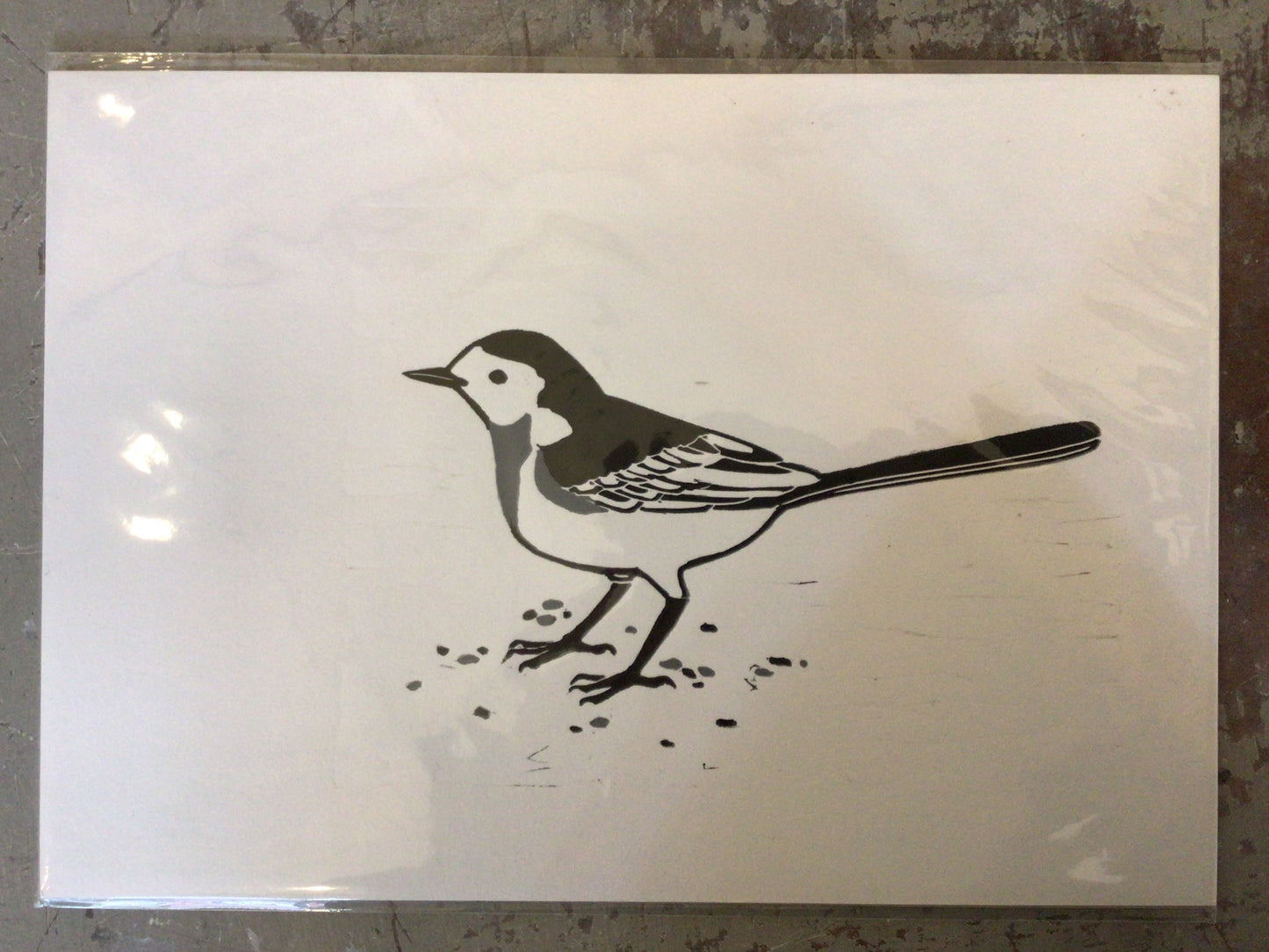 Pied Wagtail A4 Lino Print by Danielle House