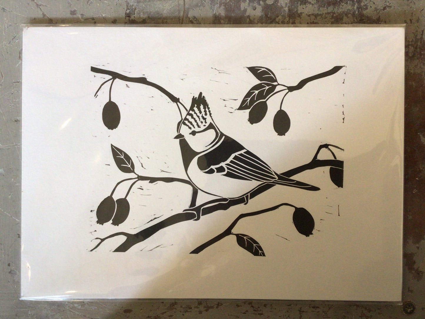 A4 crested tit Lino Print by Danielle House