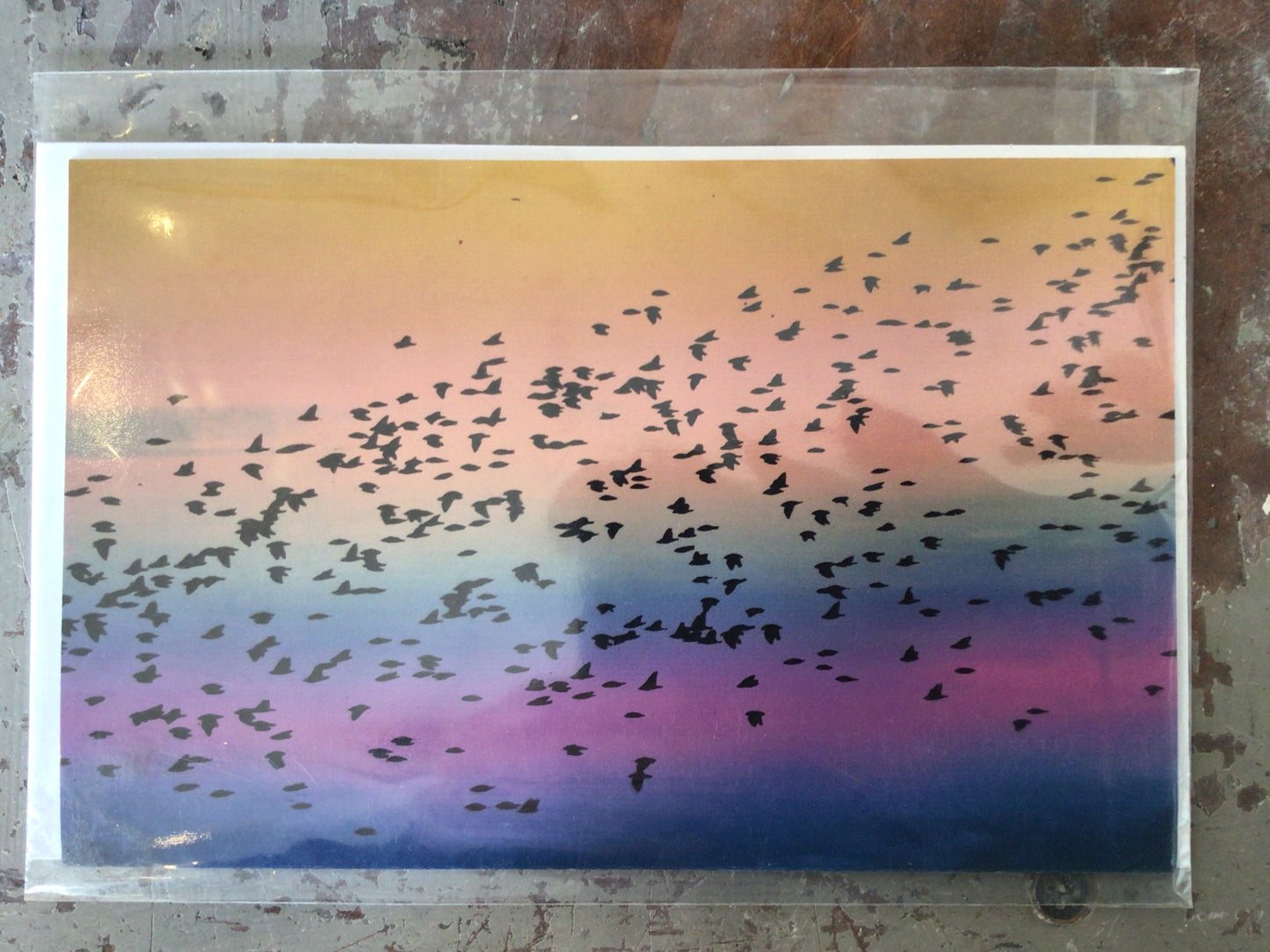 Murmuration Card by Danielle House