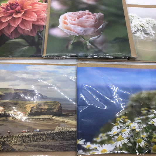 Gift Cards by Sarah Banks