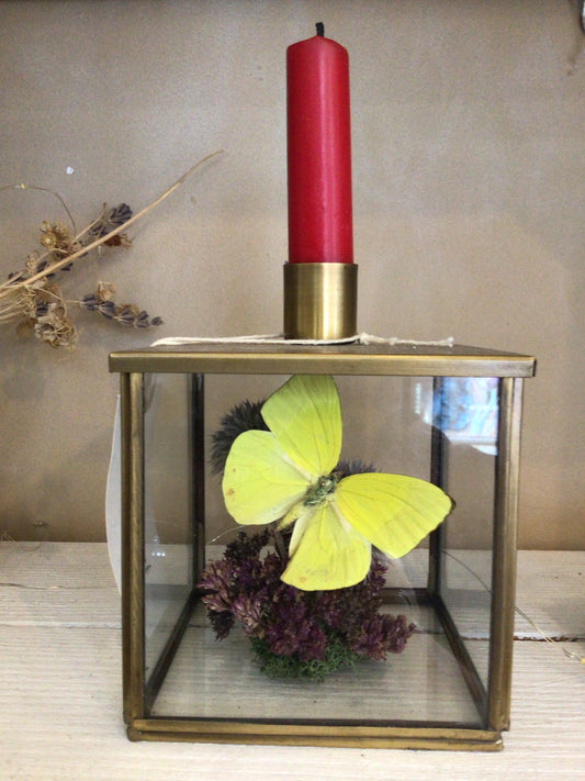 Large Candle Lantern by Danielle House